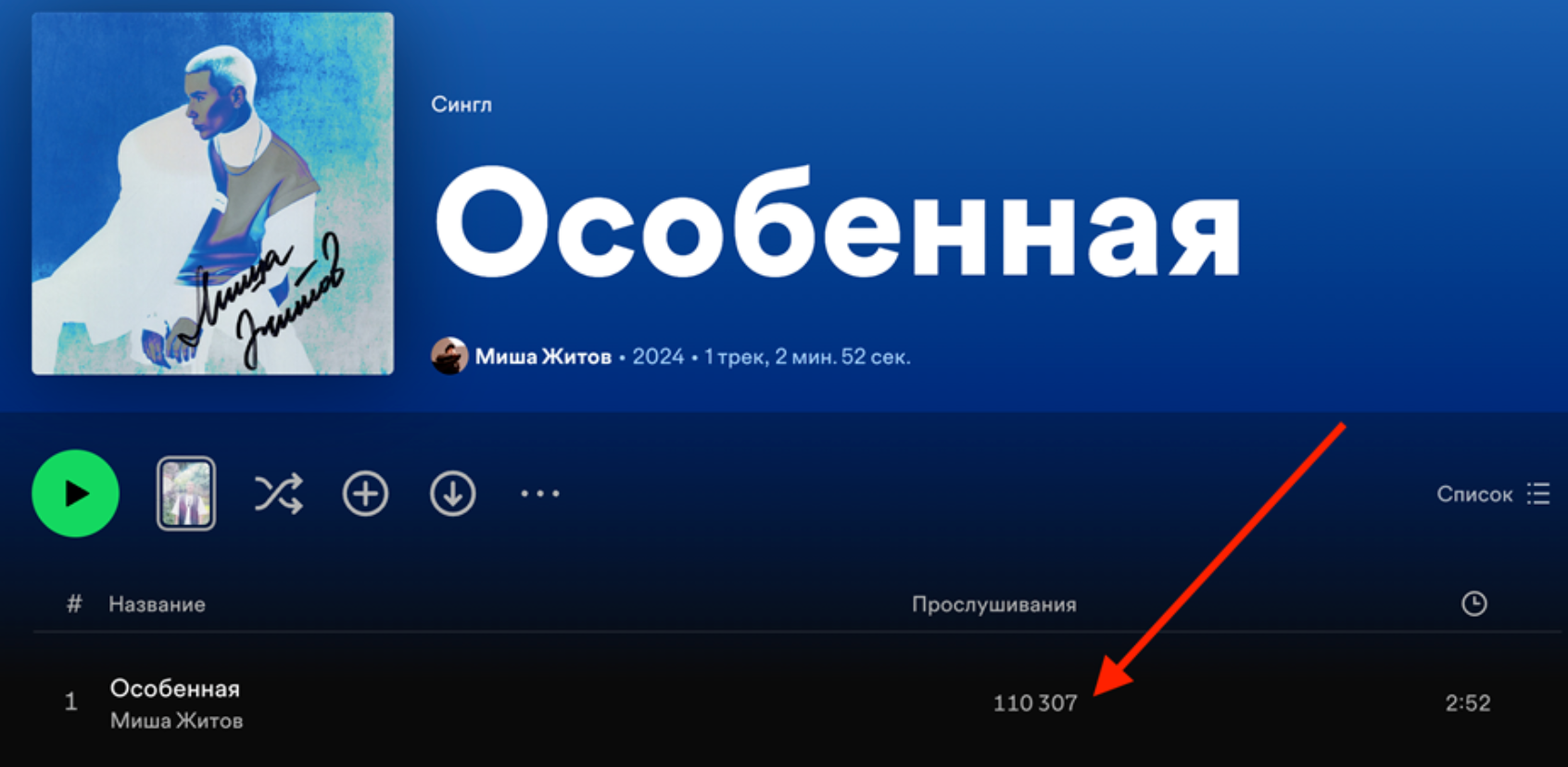 110 307 прослушиваний в Spotify
