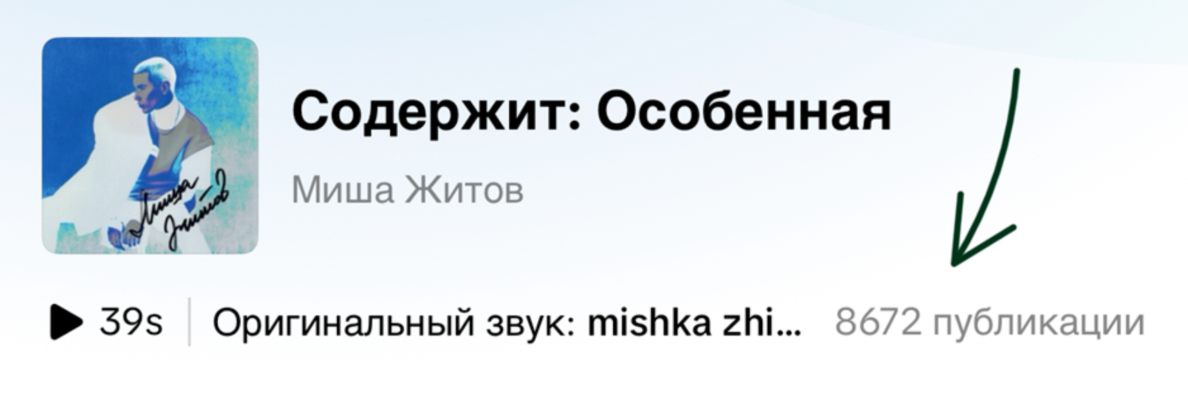 8672 публикации со звуком «Особенная» в TikTok