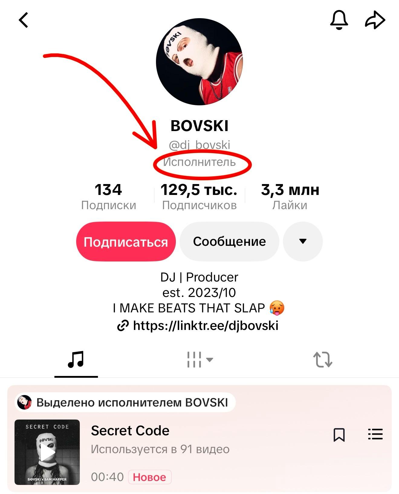 Так выглядит отметка «Исполнитель» в профиле TikTok